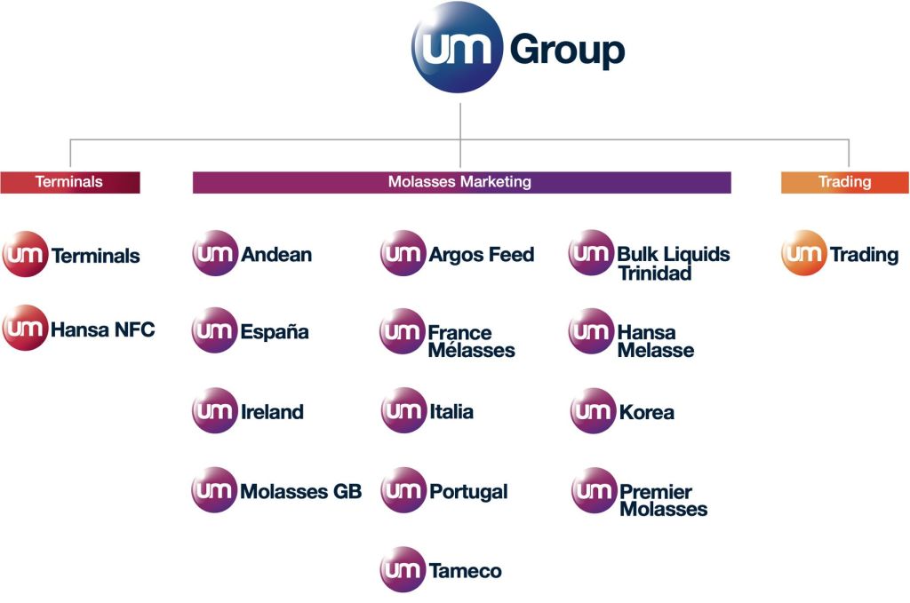 Umgroup functional structure